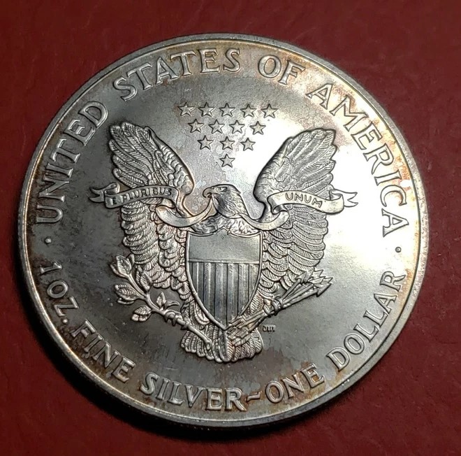 1999 Silver Eagle broadstrike error showing wider diameter and smooth edge compared to normal coin